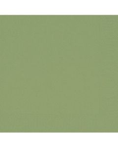 Duni lautasliina 24x24 cm 2-krs 1/4 kiwi 300 kpl